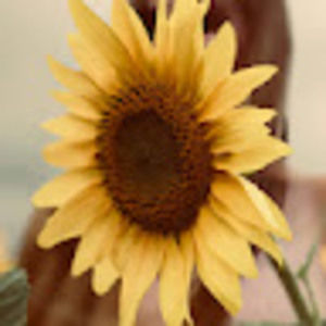 Meet your Posher, Bailey